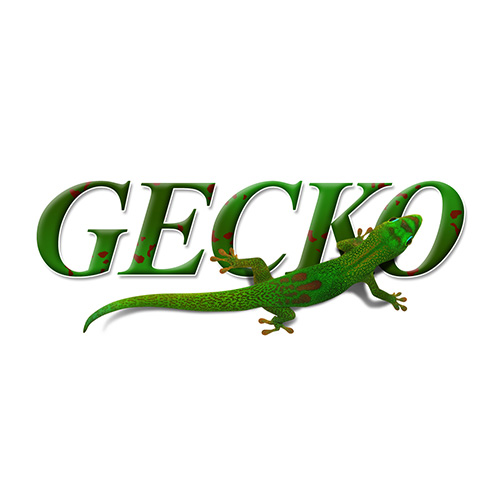 gecko-enlarged